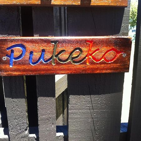 Pukeko on Bay Apartment Tauranga Bagian luar foto